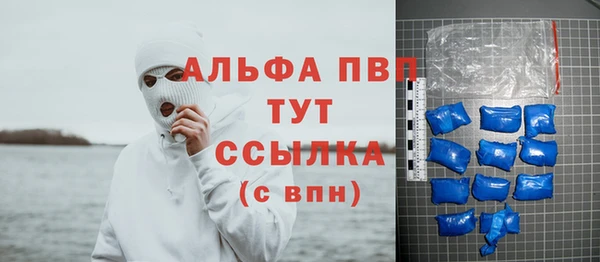 шишки Гусиноозёрск