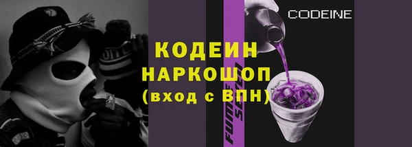 эйфоретик Гусь-Хрустальный