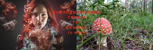 шишки Гусиноозёрск