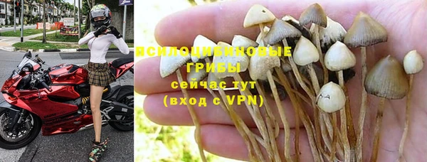 jwh Дмитров