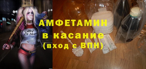 шишки Гусиноозёрск
