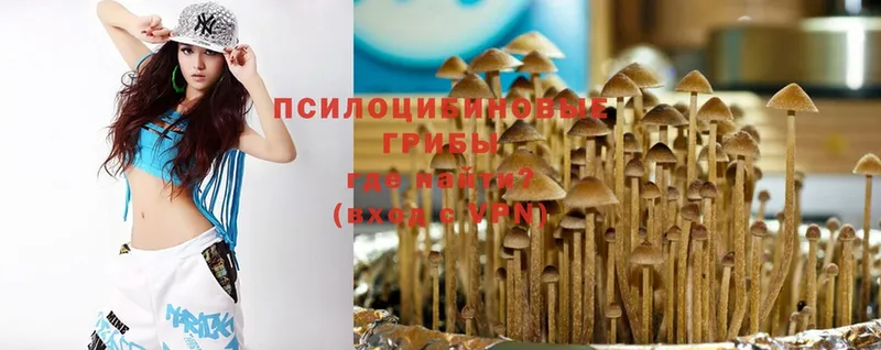 Псилоцибиновые грибы MAGIC MUSHROOMS  Елабуга 