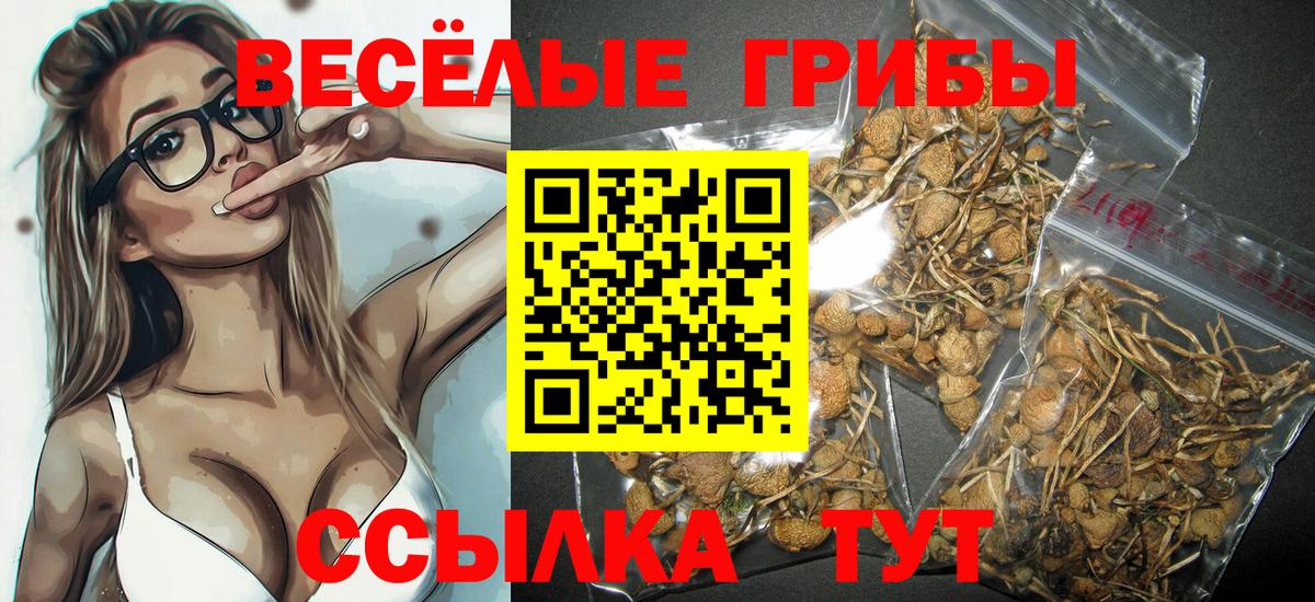 Галлюциногенные грибы GOLDEN TEACHER  сколько стоит  Елабуга  Вход с VPN 