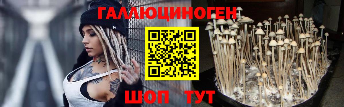 Галлюциногенные грибы прущие грибы Елабуга