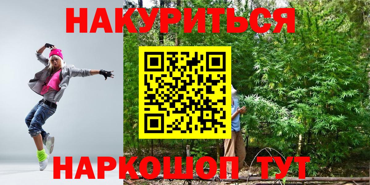 Бошки марихуана план  Конопля AK-47  Елабуга  Вход с VPN 